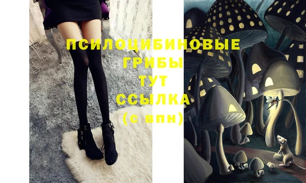 спайс Абдулино