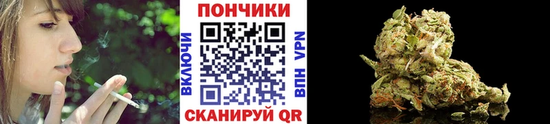 Бошки Шишки Ganja Шилка